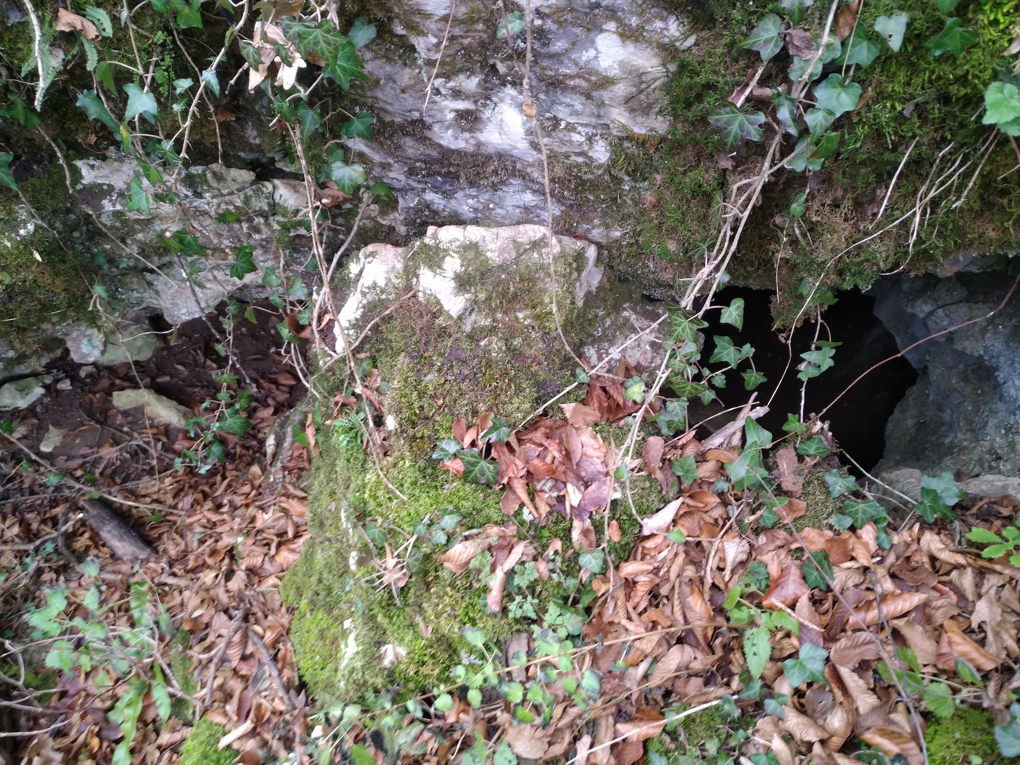 Peștera cu 4 Porți - Image 1